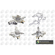 BGA Engine Cooling Water Pump CP6580H