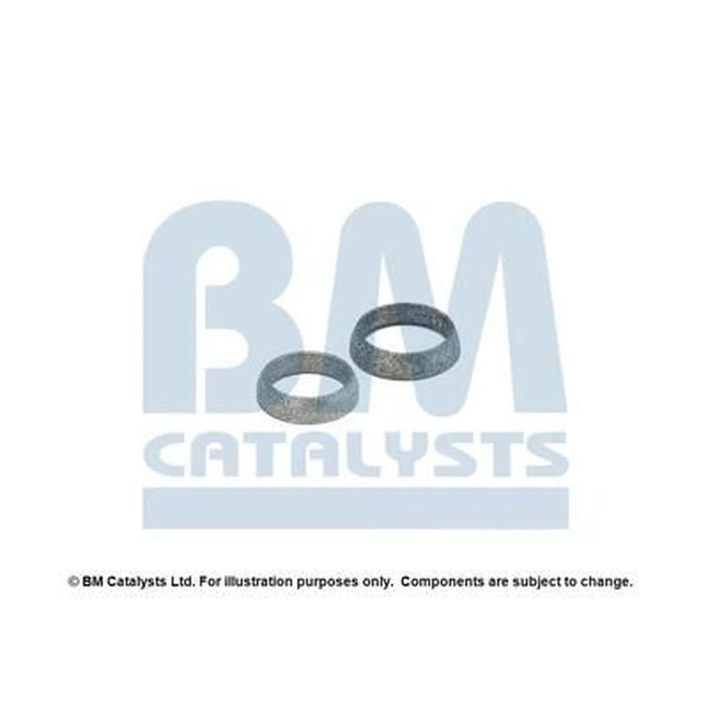 BM Catalysts Fitting Kit FK80311A FK80311A