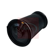 Apec Air Suspension Spring Top yoke Rear Right AAS1029