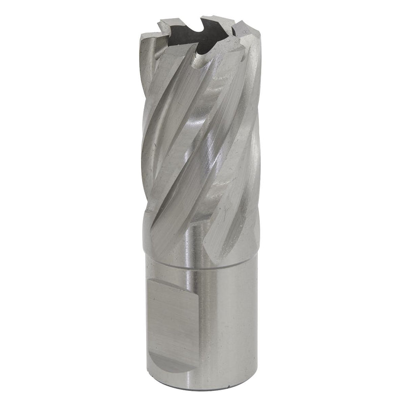 Sealey Rotabor Cutter HSS21mm Cut Depth 25mm RBHSS21S Sealey - Dynamic Drive