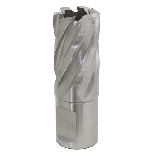 Sealey Rotabor Cutter HSS21mm Cut Depth 25mm RBHSS21S Sealey - Dynamic Drive