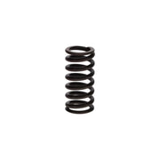 Bosch Compression Spring