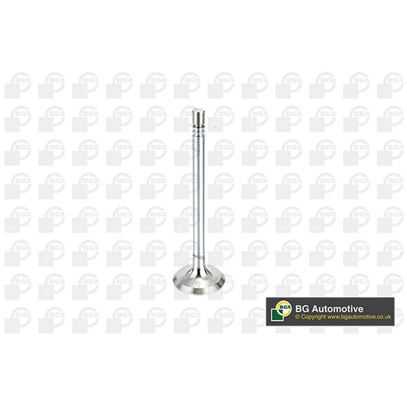 BGA Engine Intake Valve 31mm Head V164660