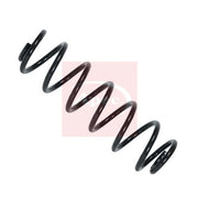 Apec Rear Suspension Coil Spring ACS2030