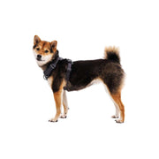 Ruffwear Front Range Dog Harness in Basalt Grey (L / XL) Ruffwear - Bars 4 Cars