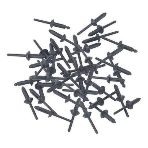 Sealey Plastic Rivet5 x 15.8mm Pack of 50 PR003 Sealey - Dynamic Drive