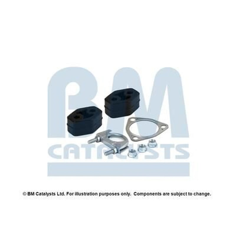 BM Catalysts Fitting Kit FK91589C FK91589C