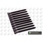 BGA Cylinder Head Bolt Set with Cylinder Head Gasket Kit fits Audi A6 C6