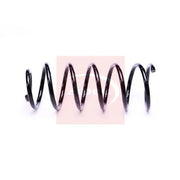 Apec Rear Suspension Coil Spring ACS2253