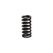 Bosch Compression Spring