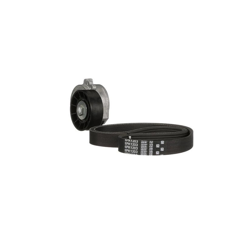 Gates V-Ribbed Belt Set K046PK1203