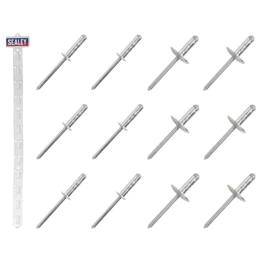 Sealey Clip Strip Deal - Aluminium Rivets RVSET Sealey - Dynamic Drive