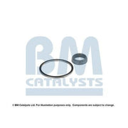BM Catalysts Fitting Kit FK91064A FK91064A