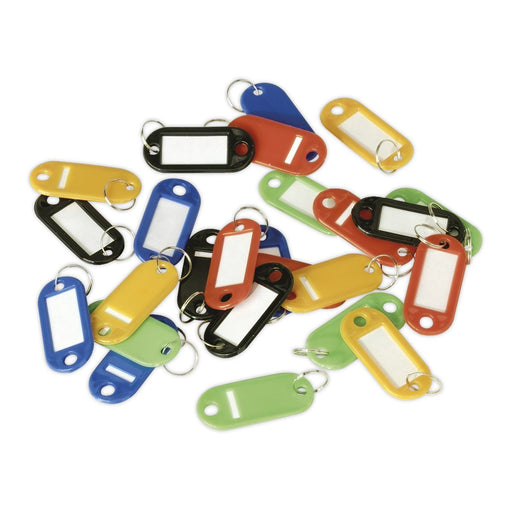 Sealey Key Tag Assortment 25Pc Sealey - Dynamic Drive