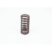 Bosch Compression Spring