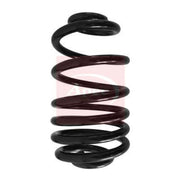 Apec Rear Suspension Coil Spring ACS1570