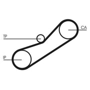 Continental CTAM Timing Belt Cambelt 78 Teeth fits Honda Accord 1996-2000 2.0