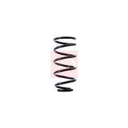 Apec Rear Suspension Coil Spring fits Fiat Punto 1999-2012