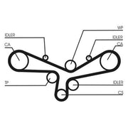 Continental CTAM Timing Belt Cambelt 253 Teeth fits Audi A4 B5 1996-2001 2.4 2.8
