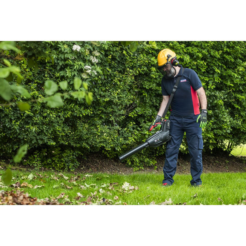 Sealey SV20 Series Cordless Blower 40V - Body Only CP40VB Sealey - Dynamic Drive