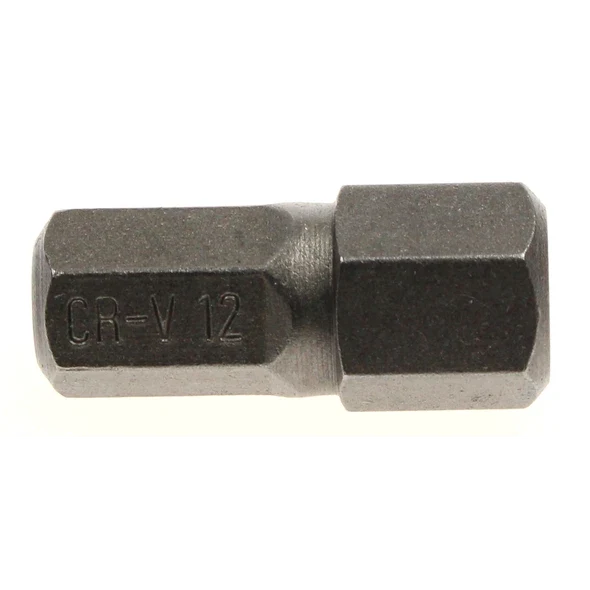 Sealey Hex bit 12mm,short:10mm shank