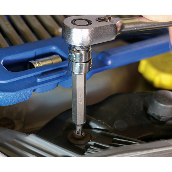 Sealey TRX-Star*/Hex/Spline Bit Set 42pc 3/8" & 1/2"Sq Drive AK219 Sealey - Dynamic Drive