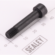Sealey Arbor Screw