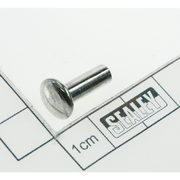 Sealey Rivet