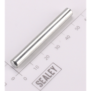 Sealey Axle for roller
