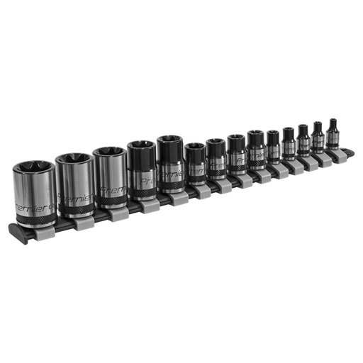 Sealey TRX-Star* Socket Set 14pc 1/4" 3/8" & 1/2"Sq Drive E4-E24 Black Series Sealey - Dynamic Drive