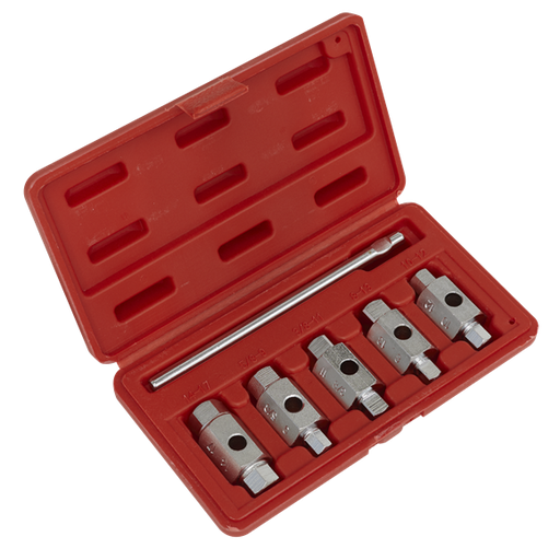 Sealey Drain Key Set 6pc Double End AK659 Sealey - Dynamic Drive
