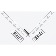 Sealey Casing screw