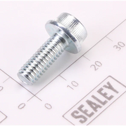 Sealey Flange Screw