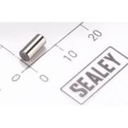 Sealey Pin