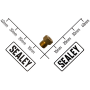 Sealey Injector Φ1.29