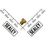 Sealey Injector Φ0.87