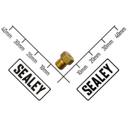 Sealey Injector Φ1.31