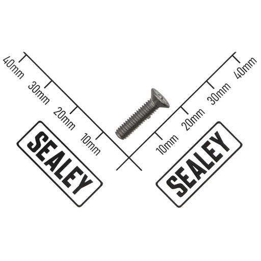 Sealey Screw, Handle Bracket