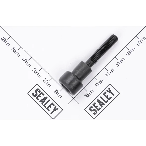 Sealey Mandrel M6