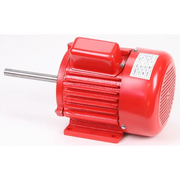 Sealey Motor