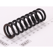 Sealey Main Rod Spring (Large)