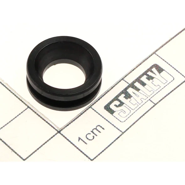 Sealey Inlet gasket