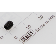 Sealey Grub screw m4x5 (single)