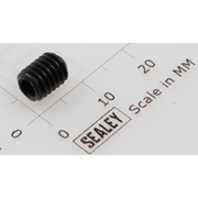 Sealey Grub screw m6x8 (single)