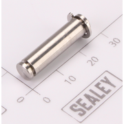 Sealey Trigger Pin