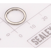 Sealey Gasket