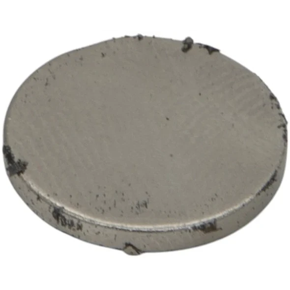 Sealey Magnet