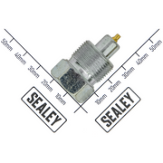 Sealey Hose coupler