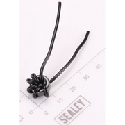 Sealey Inductor (Short)