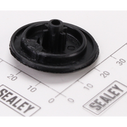 Sealey Shift, Drive Plate